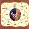Horoscope matching for marriage